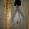 Musky Northern Pike Bucktail Double Blades