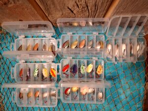 Boxes of 5 Inline Spinners